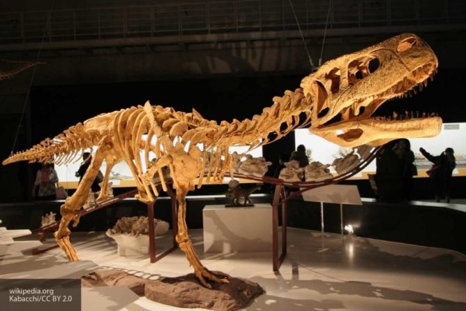 Общество: Крокодилы опровергли возможность определения пола динозавров по окаменелостям