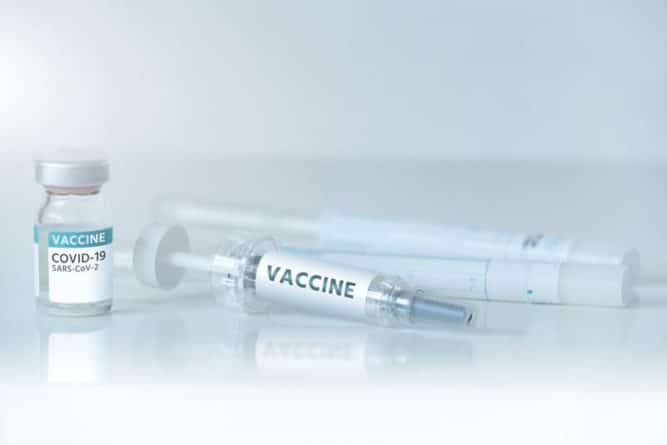 Общество: Ученые протестировали новую вакцину от COVID-19 на макаках - Cursorinfo: главные новости Израиля