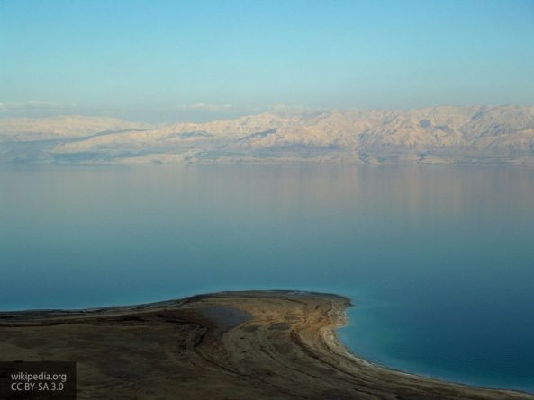 Общество: Ученые обнаружили текст на свитках Мертвого моря