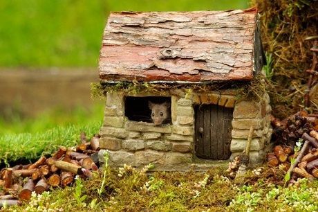 Общество: Британец построил «деревню хоббитов» для мышей