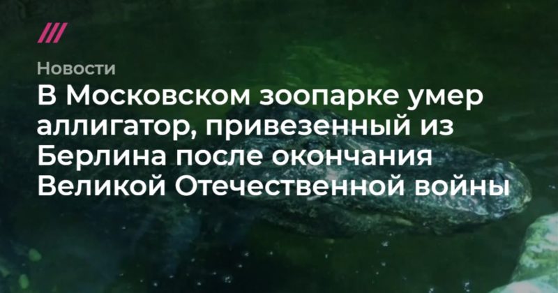 Общество: В Московском зоопарке умер аллигатор, привезенный из Берлина после окончания Великой Отечественной войны