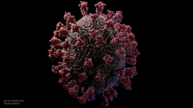 Общество: Мутации коронавируса не сделали его опаснее