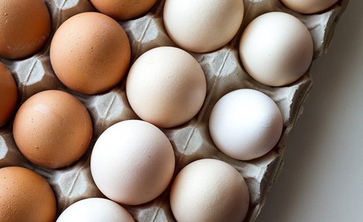 Общество: Expressen (Швеция): пять причин любить яйца