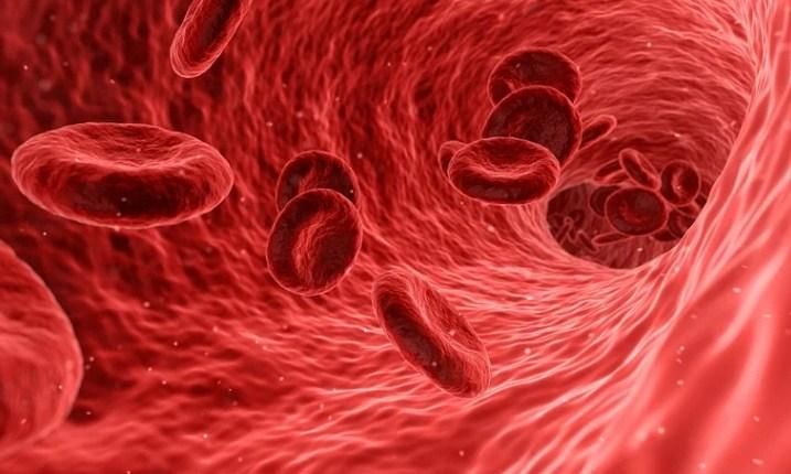 Общество: Ученый рассказал, как предотвратить нарушение свертываемости крови при коронавирусе