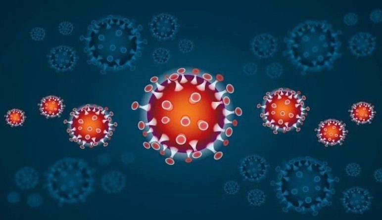 Общество: Ученые объяснили, почему дети меньше уязвимы к коронавирусу