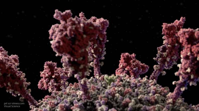 Общество: Ученые выявили самый благоприятный для коронавируса климат