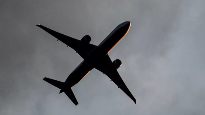 Общество: Из Британии в Москву вывозным рейсом вылетели 217 человек