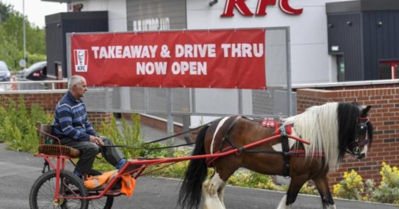 Общество: Мужчину с лошадью не пустили в KFC-авто