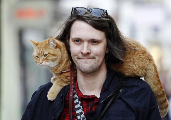 Общество: В Великобритании скончался знаменитый рыжий кот Боб