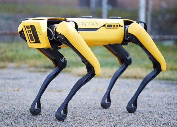 Общество: В США поступила в продажу собака-робот