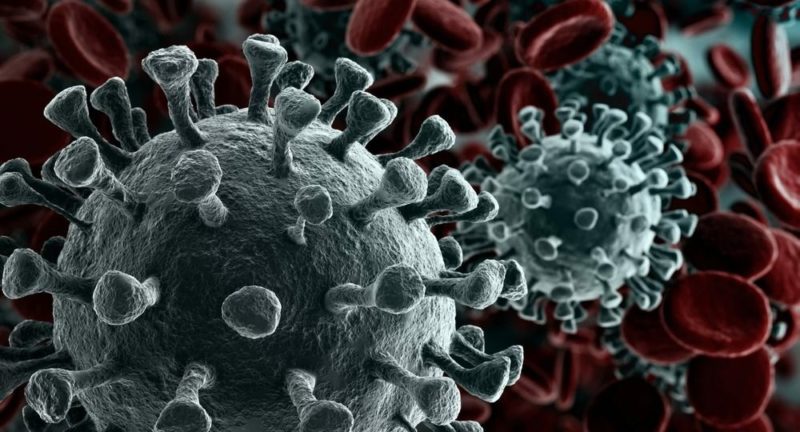 Общество: В России выявили 7 843 новых случая коронавируса, по официальным данным