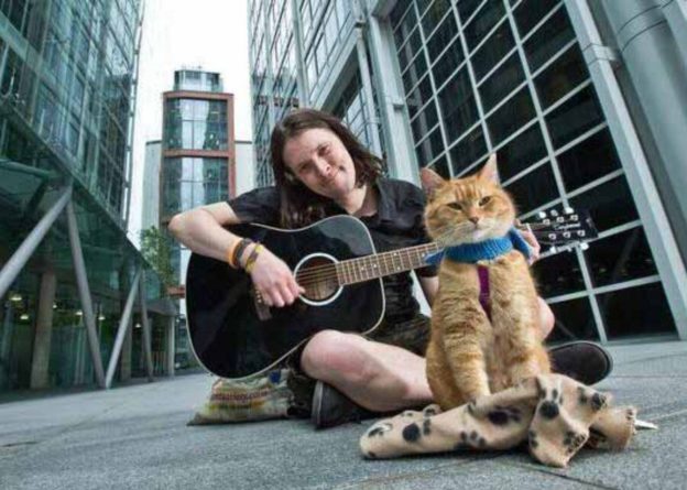 Общество: Умер знаменитый рыжий кот по кличке Боб