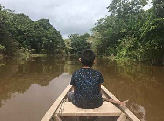 Общество: В Амазонии найдены темные земли, в которые люди вносили удобрения 5000 лет назад