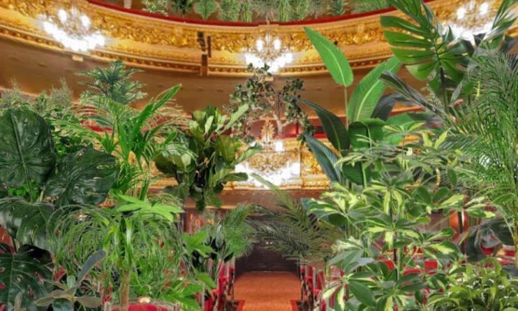 Общество: Испанский оперный театр даст концерт для более двух тысяч растений