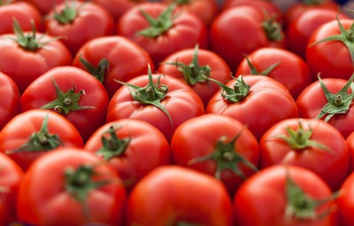 Общество: Из томатной ботвы научились производить дешевую эко-упаковку - Cursorinfo: главные новости Израиля