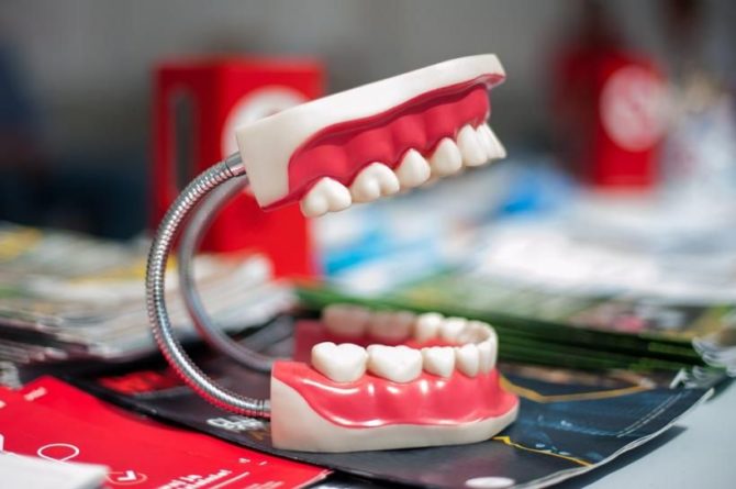 Общество: Дантисты: Срок жизни человека зависит от количества выпавших зубов