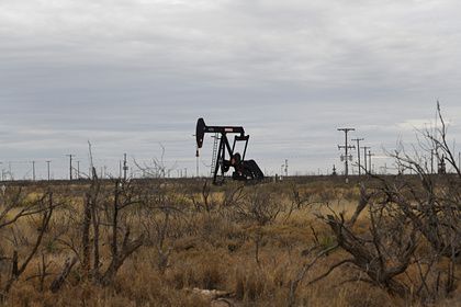 Общество: Цены на нефть обвалились