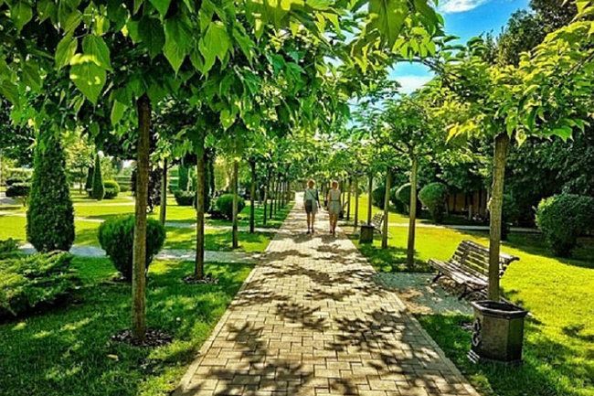 Общество: Губернаторский сад в Ярославле открылся для посетителей