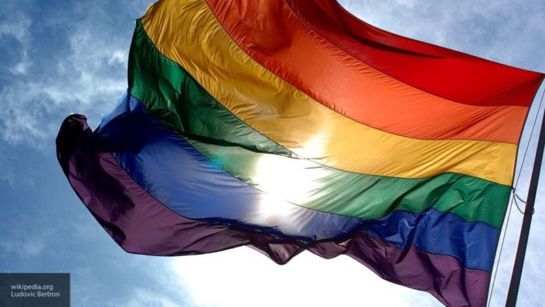 Общество: Новиков раскритиковал британских дипломатов за "флешмоб" с флагом ЛГБТ