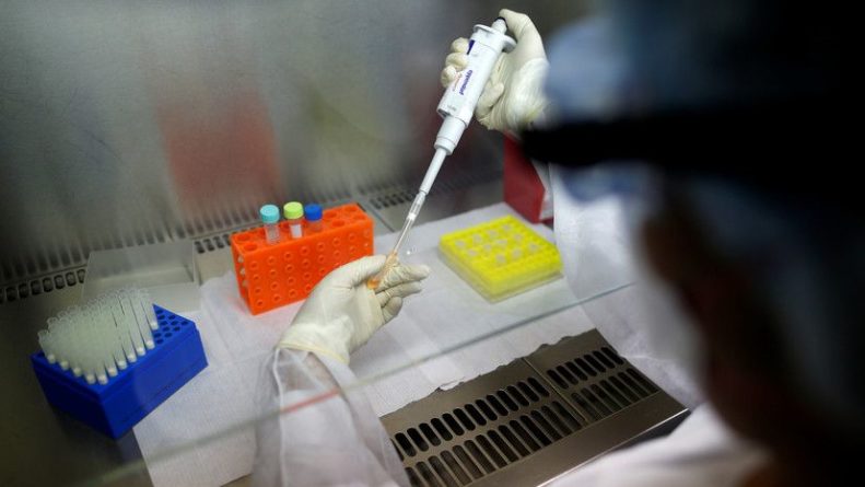 Общество: Бразилия и Британия намерены сотрудничать по вакцине от коронавируса