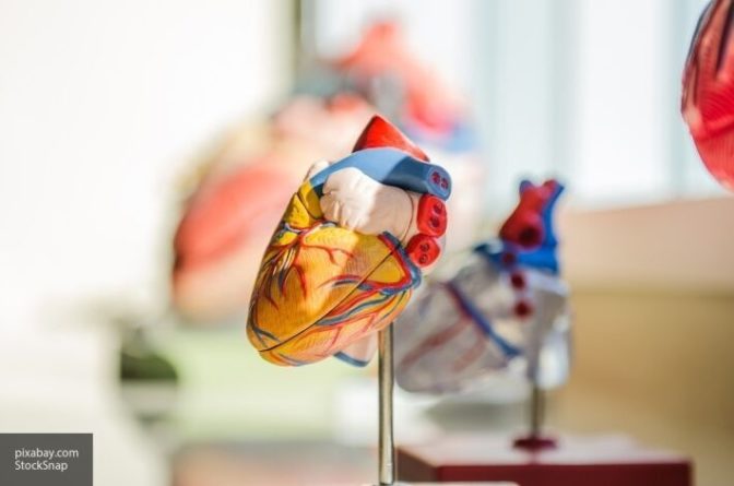 Общество: Британские ученые создали новый клапан для сердца