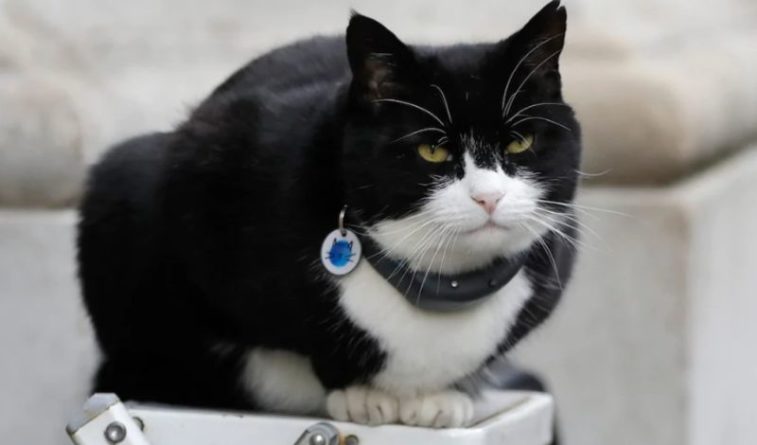 Общество: МИД Великобритании принял отставку главного кота-мышелова