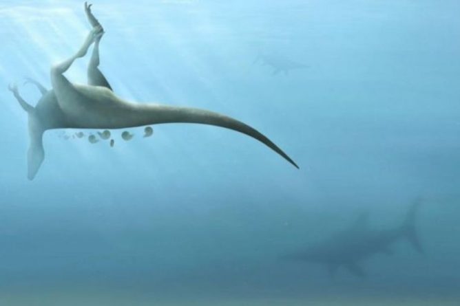 Общество: В Великобритании ученые нашли останки ранее неизвестного динозавра