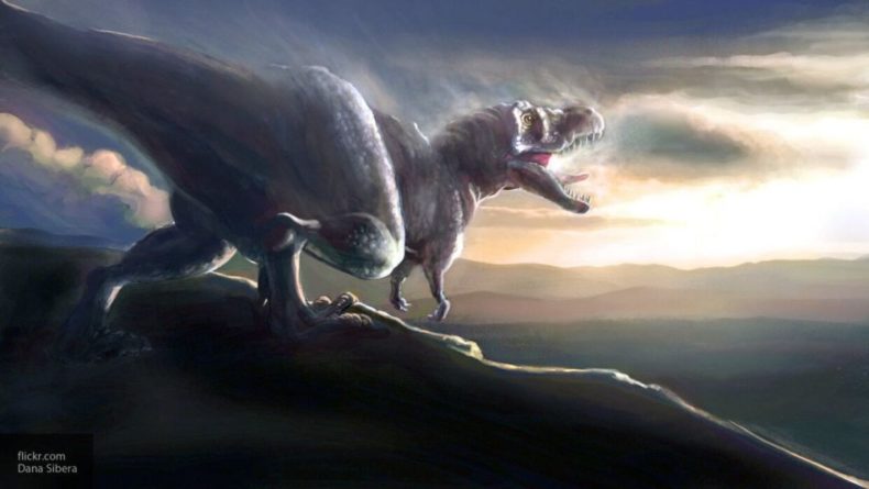 Общество: Останки неизвестного вида динозавров найдены у берегов Великобритании
