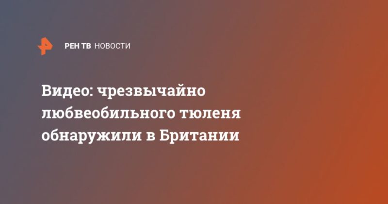 Видео: чрезвычайно любвеобильного тюленя обнаружили в Британии 13082020 Общество: Видео: чрезвычайно любвеобильного тюленя обнаружили в Британии
