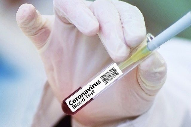 Общество: На одной из фабрик Великобритании 292 работника заразились коронавирусом