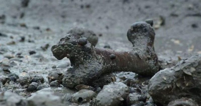 Общество: В Британии нашли "остров мертвецов", засыпанный человеческими костями - наводит ужас на всех