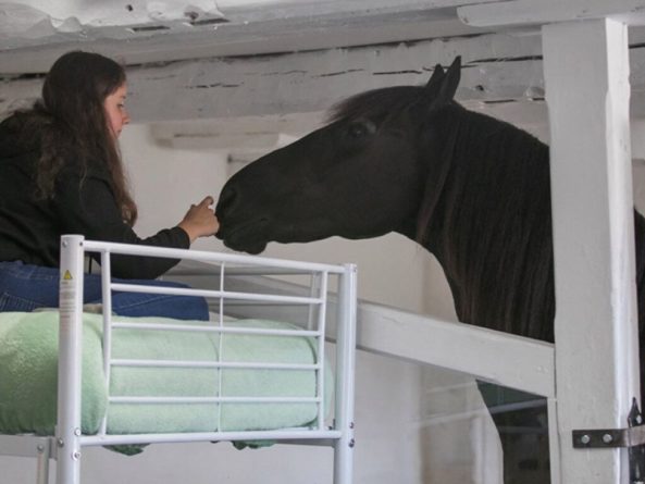 Общество: Отель в Великобритании предлагает клиентам ночевать в стойле с лошадьми