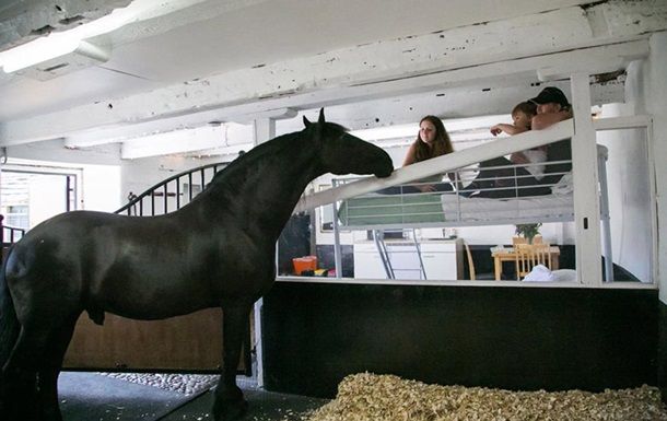 Общество: В Великобритании открылся отель с лошадьми