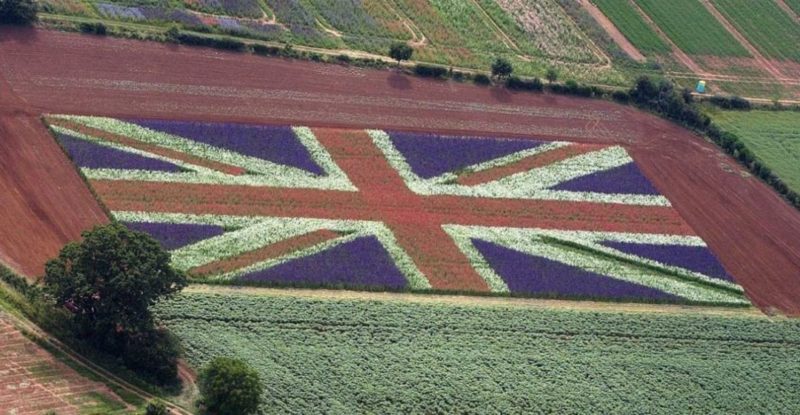 Общество: Сельское хозяйство Британии будет уничтожено – The Guardian о последствиях планов правительства