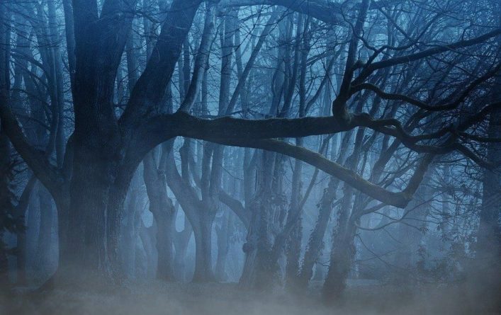 Общество: Обрушившийся на Великобританию ураган обнажил части затопленного леса из древней легенды об “Атлантиде Уэльса”