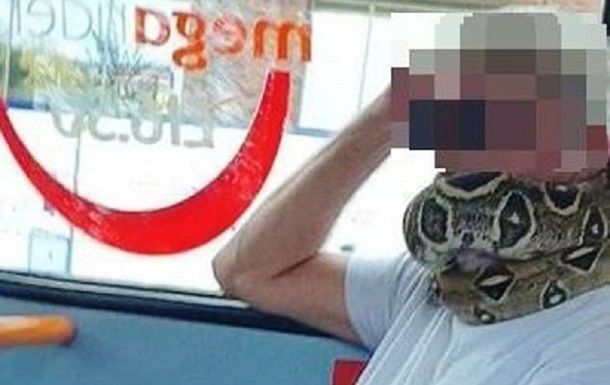 Общество: Британец надел живую змею вместо маски