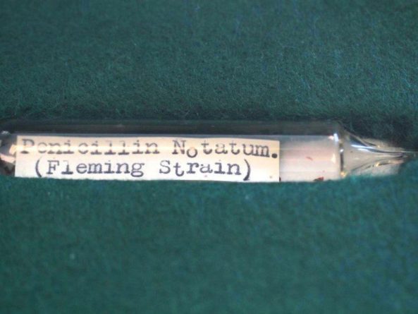 Общество: В Великобритании прочитан геном штамма плесени, из которого Александр Флеминг впервые выделил пенициллин
