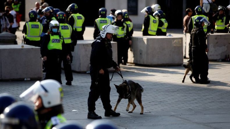 Общество: Несколько полицейских получили ранения в ходе протестов в Лондоне