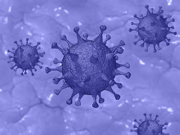 Общество: Израиль и Великобритания бьют рекорды по коронавирусу
