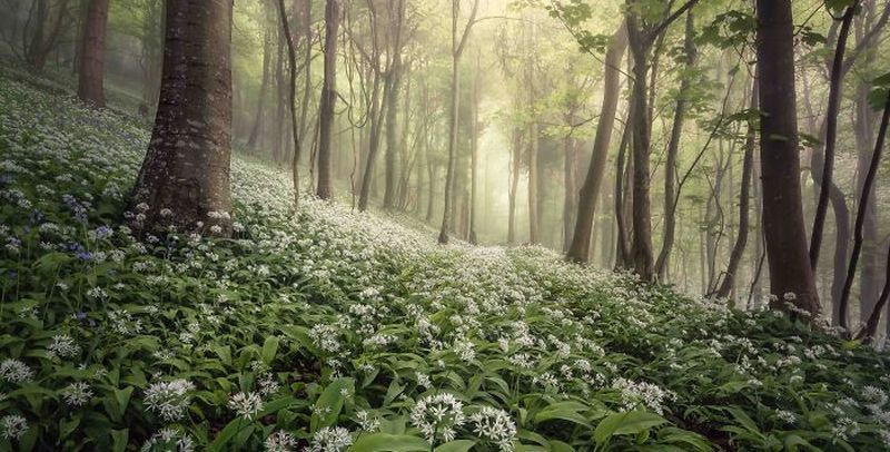 Общество: Landscape Photographer of the Year 2020 - лучшие 10 фото природы от пейзажных фотографов Британии - ТЕЛЕГРАФ