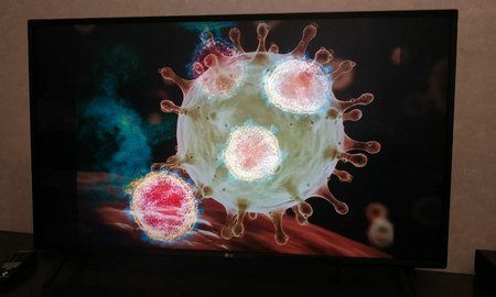 Общество: О «длительном» коронавирусе предостерегли учёные Англии