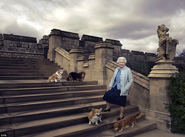 Общество: Королева Великобритании выпустит собственный джин