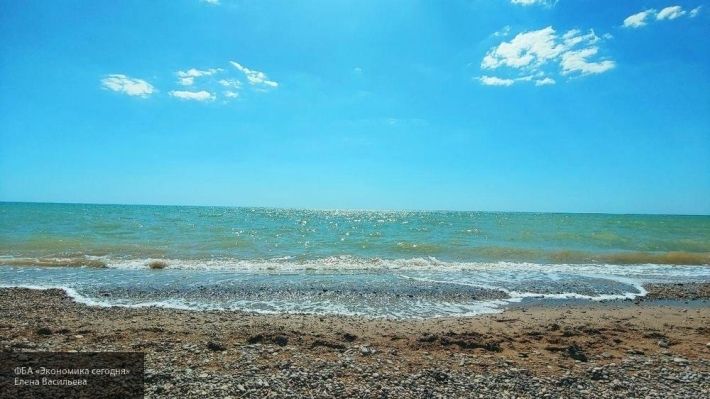 Общество: Мужчина в Британии обнаружил на пляже «останки русалки»