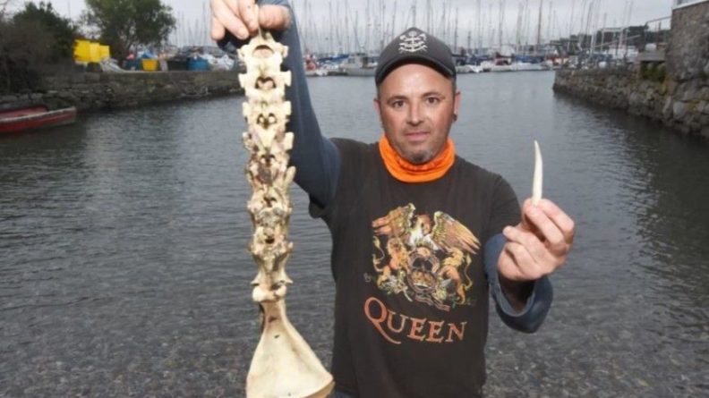 Общество: Британец во время отлива нашел в бухте останки «русалки»