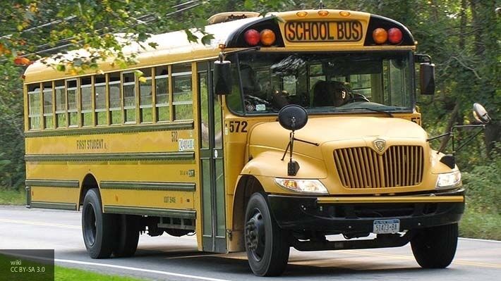 Общество: В Британии был осужден водитель школьного автобуса за неосторожное вождение