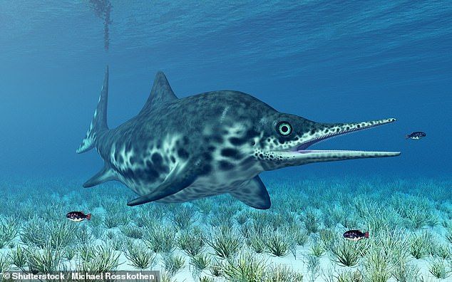 Общество: В Британии случайно нашли останки "морского дракона", жившего 150 млн лет назад: фото