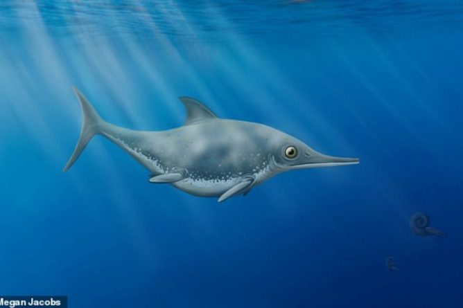 Общество: В Британии нашли останки "морского дракона", существовавшего 150 млн лет назад