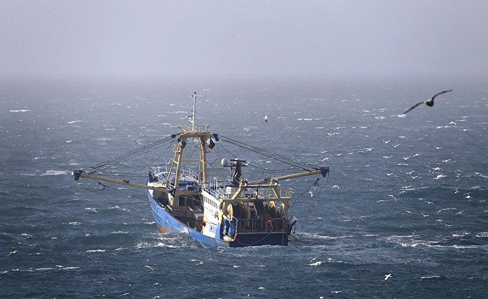 Общество: The Guardian (Великобритания): четыре корабля ВМС будут охранять рыболовные угодья Великобритании в случае Брексита без сделки