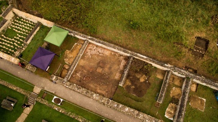 Общество: Археологи обнаружили в Британии римскую мозаику, которой 1,5 тыс. лет: фото