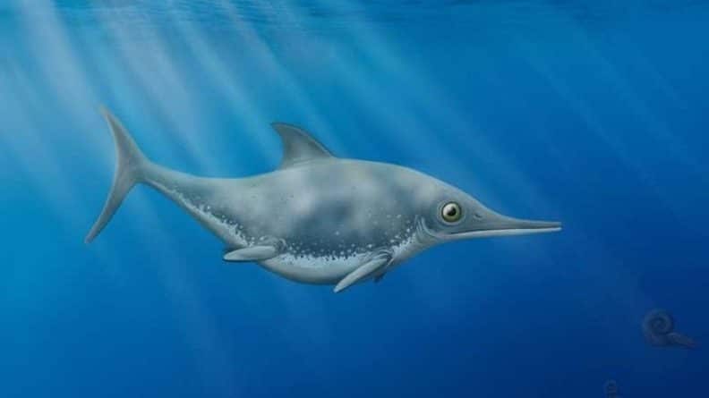 Общество: На побережье Англии нашли доисторического «морского дракона»